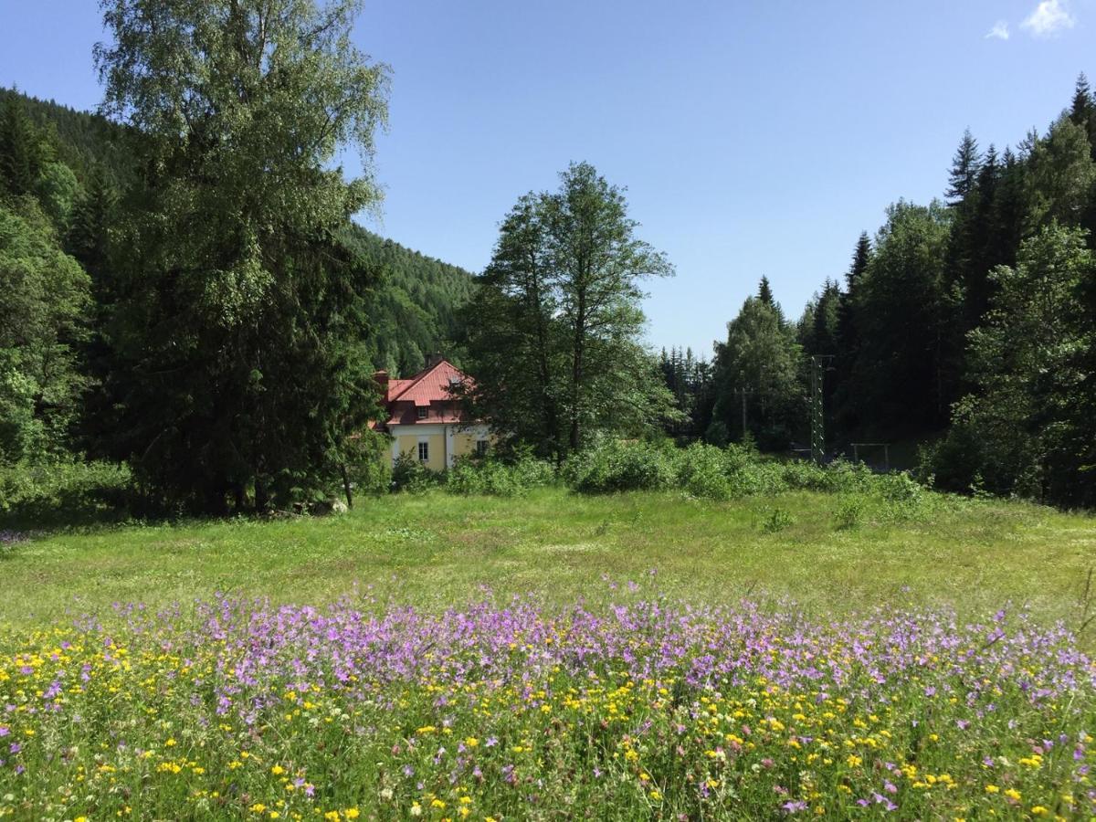 Horska Chata Pod Lanovkou Jáchymov Exterior foto